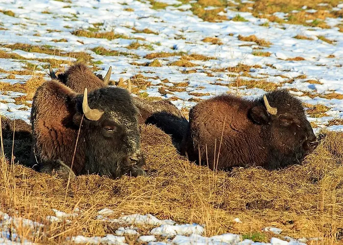Klein Casa de hóspedes 4*